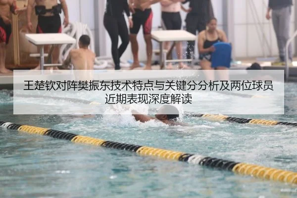 王楚钦对阵樊振东技术特点与关键分分析及两位球员近期表现深度解读